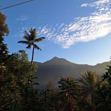 Pepper County Farm Stay Munnar Buitenkant foto