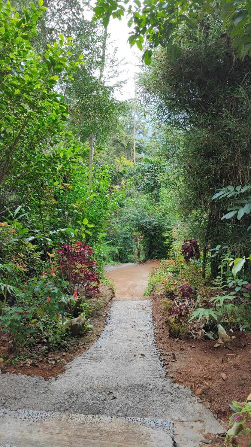 Pepper County Farm Stay Munnar Buitenkant foto