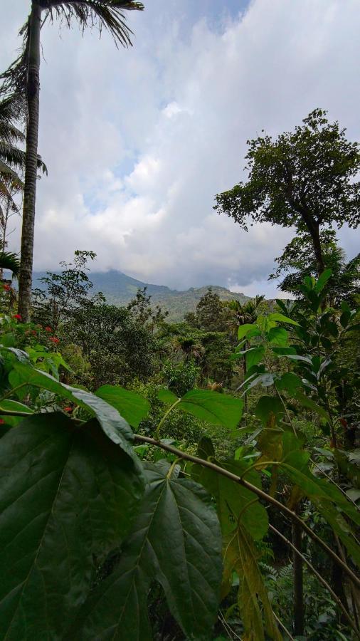 Pepper County Farm Stay Munnar Buitenkant foto