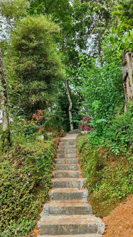 Pepper County Farm Stay Munnar Buitenkant foto