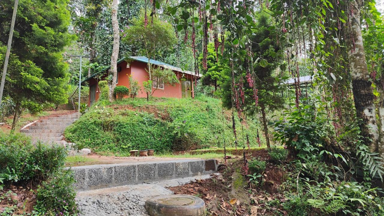 Pepper County Farm Stay Munnar Buitenkant foto