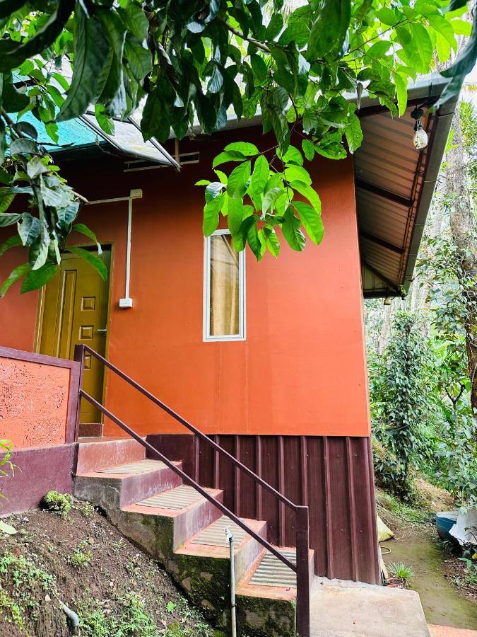 Pepper County Farm Stay Munnar Buitenkant foto