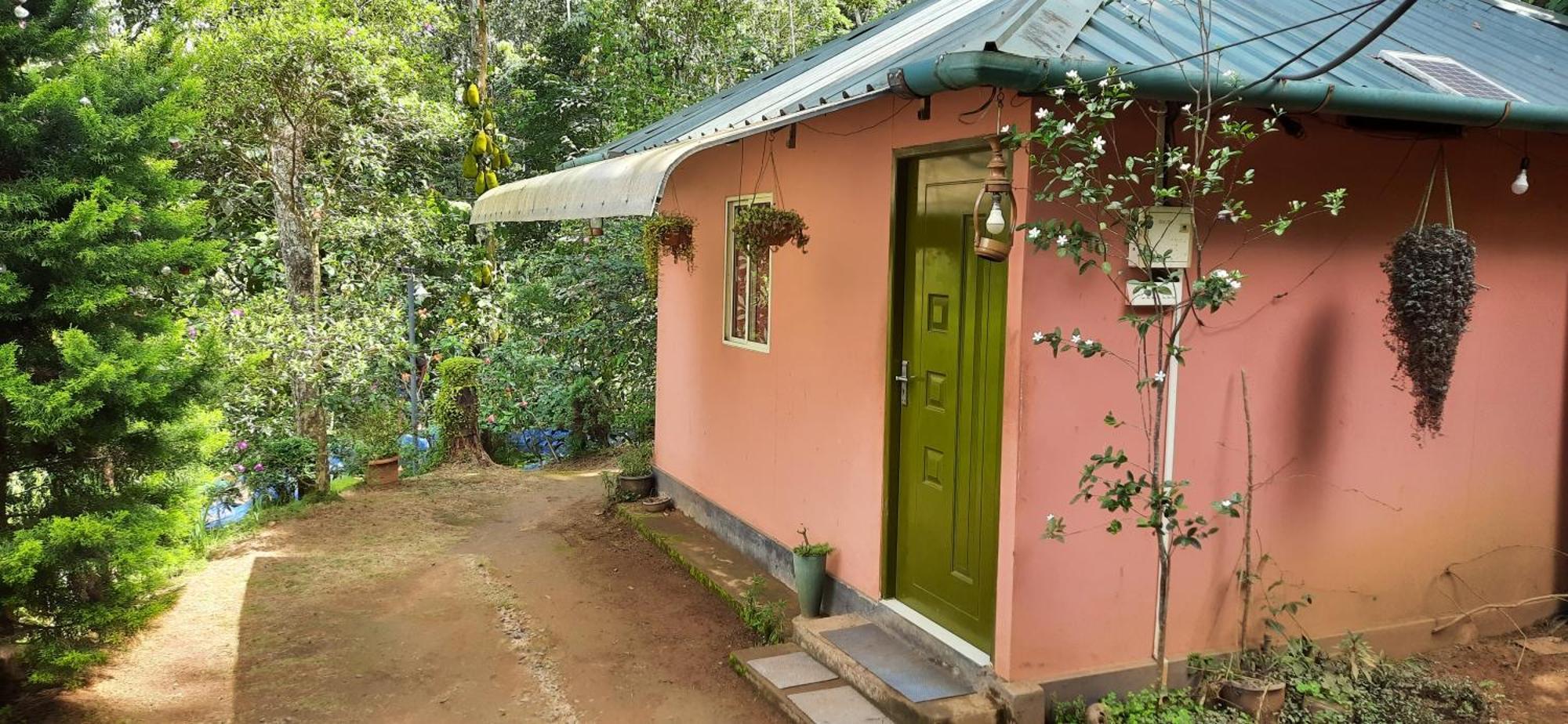 Pepper County Farm Stay Munnar Kamer foto