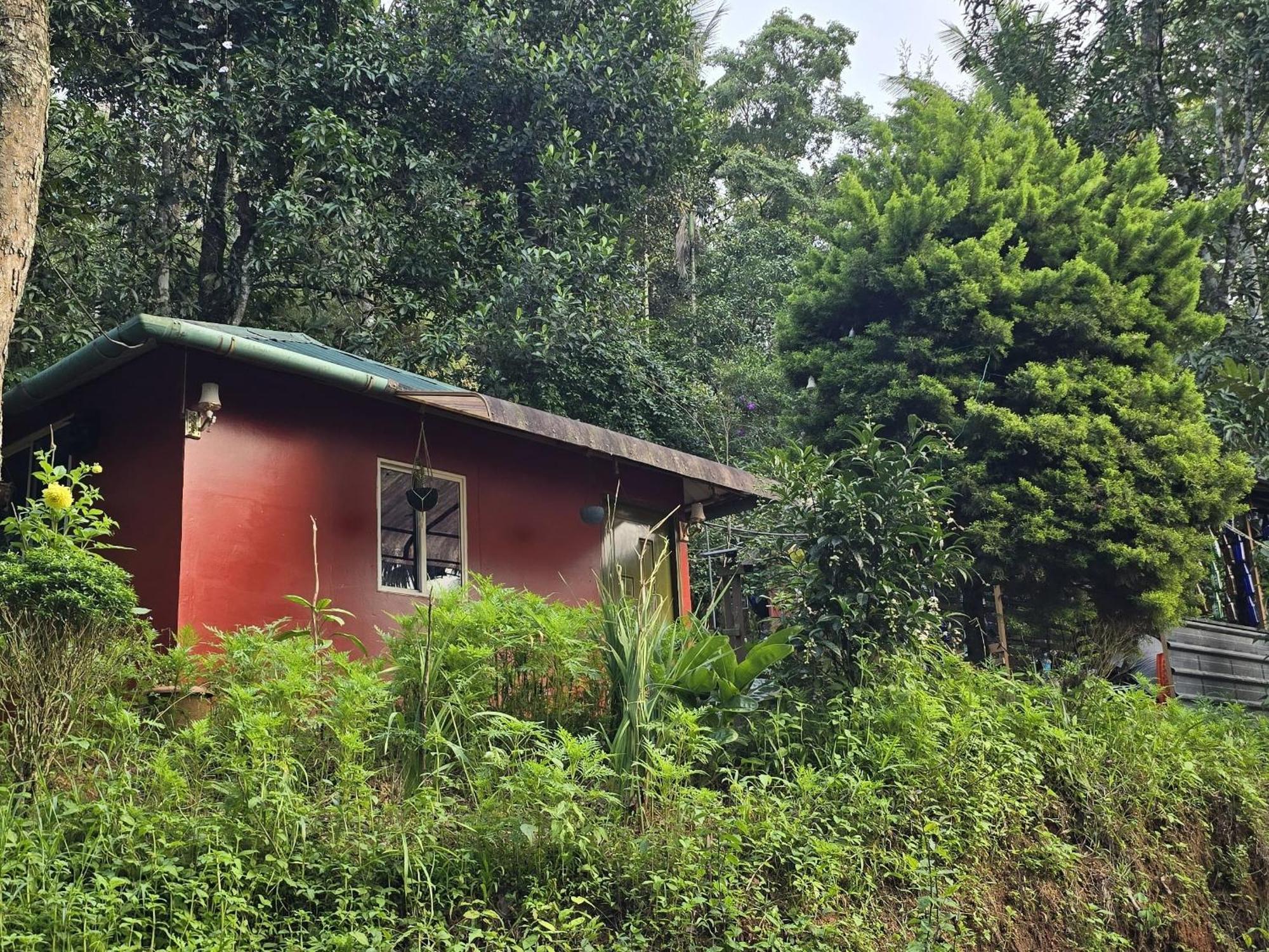 Pepper County Farm Stay Munnar Kamer foto