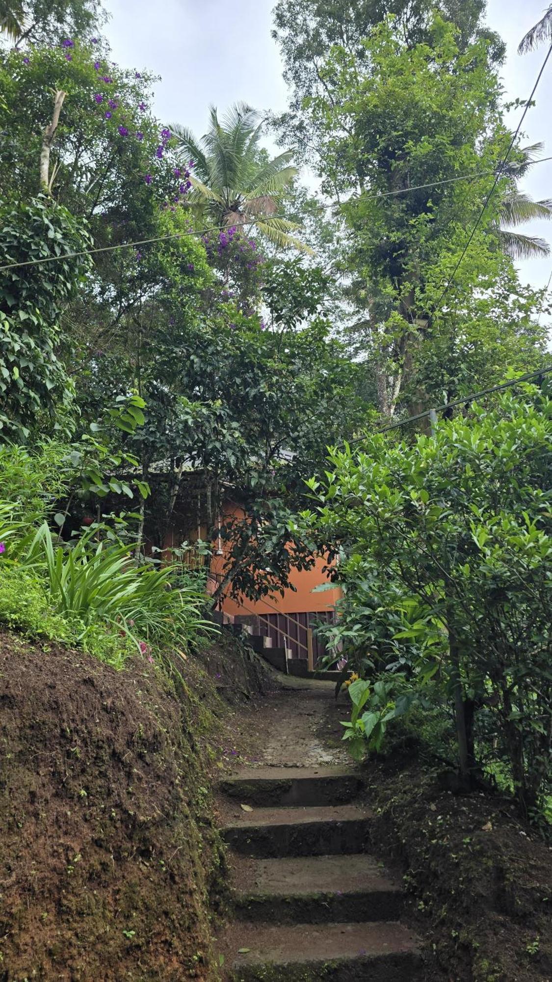 Pepper County Farm Stay Munnar Buitenkant foto