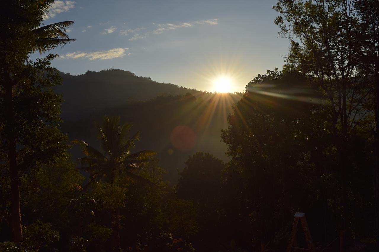 Pepper County Farm Stay Munnar Buitenkant foto
