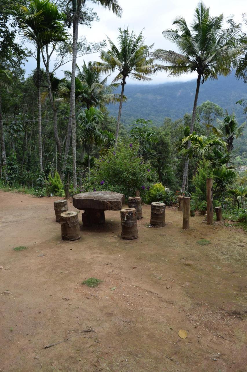 Pepper County Farm Stay Munnar Buitenkant foto