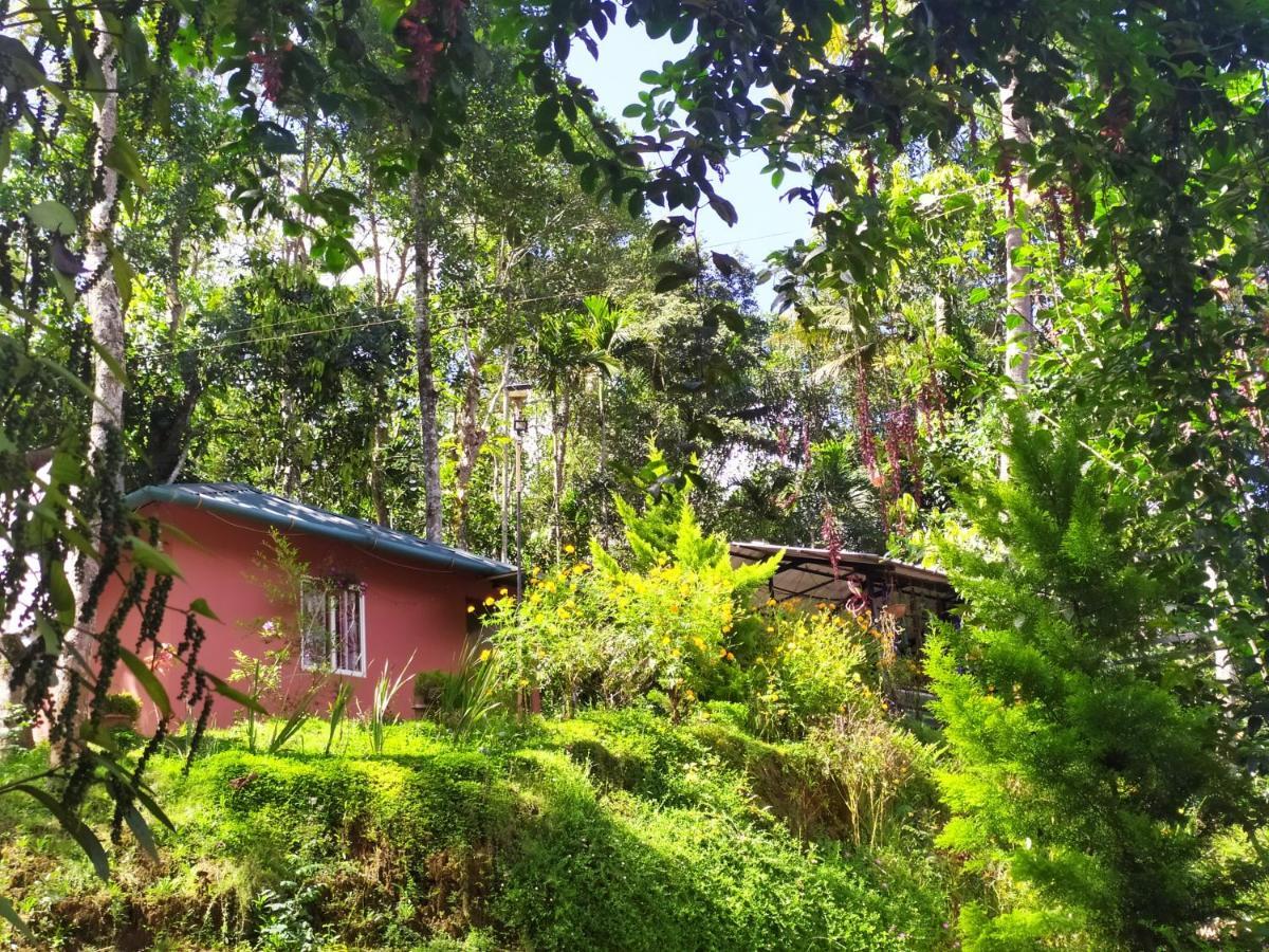 Pepper County Farm Stay Munnar Buitenkant foto